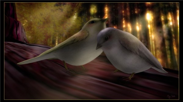 Love Birds