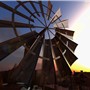 texasUSA_007