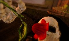 The Smell of a Dead Love