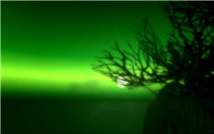 The green ray