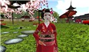 Cherry Blossom Maiko