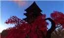GION: color of autumn