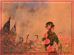 Field of Flowers