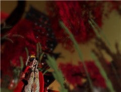 Fall Oiran