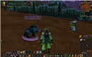 My first pet!