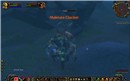 Underwater Makrura dance