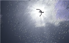 Dive World_024