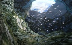 Dive World_032