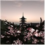 Goodbye, Gion 3