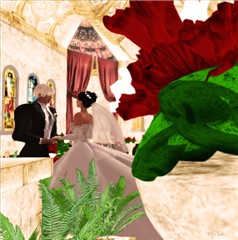 The wedding of Doc and Alexia 1 out of 2