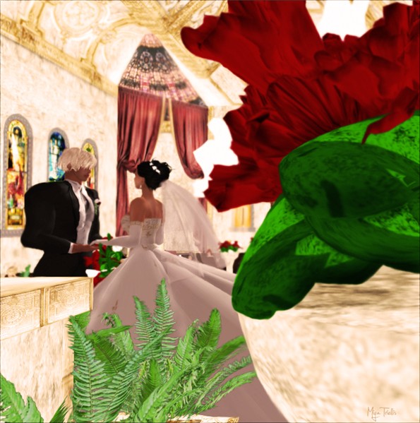 The wedding of Doc and Alexia 1 out of 2