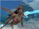 flyfish_001