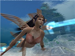 flyfish_001