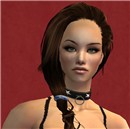Ophidia - Paladin Virus application