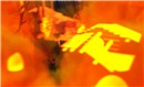 can you see us amidst the flames? - Torley Olmstead