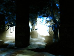 Light_2