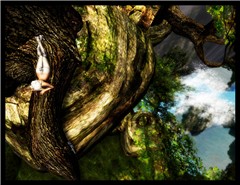 Faun Life