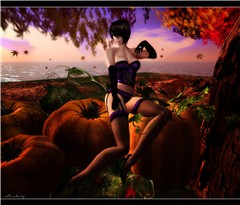Autumn Splendor