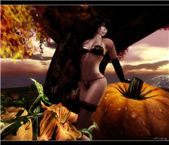 Indian Summer