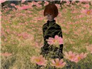 Cosmos