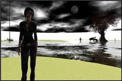 Nocturne