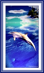 Poirpoise ( REDUX )