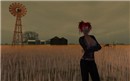 AM Radio Wheat Field