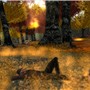 Return to the soil 1