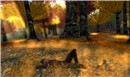 Return to the soil 1