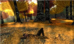 Return to the soil 1
