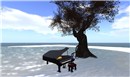 chouchou_002