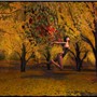 autumndreamF