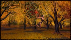 autumndreamF