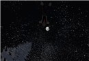 Snowfall - Socks Clawtooth