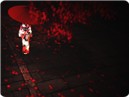 紅葉(GION)
