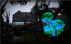 Magic and a forest of the adventure.MERLINS FOREST_029