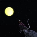 In The Fluffy MOON Nite