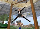 spider_001