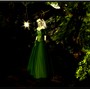 Druid 1