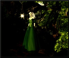 Druid 1