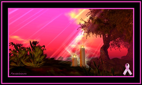 PINK keep the flame alive