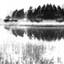 Esquisse for land forming