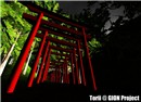 Torii @ GION Project