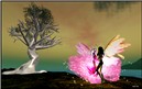 A Spring Night's Dream