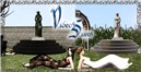 VideoSims
