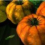 Pumpkins