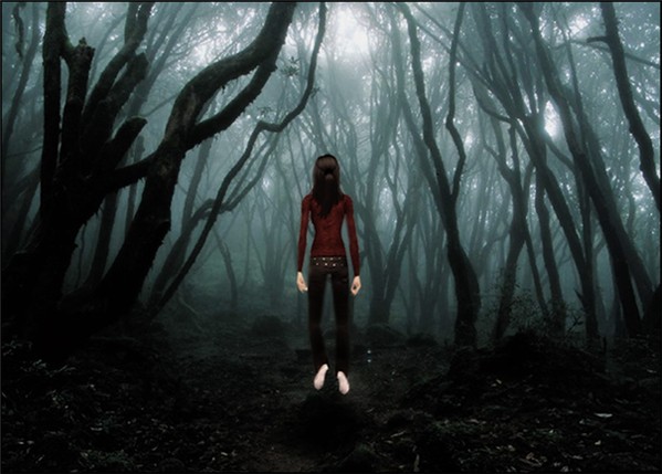 In the Haunted Forest
