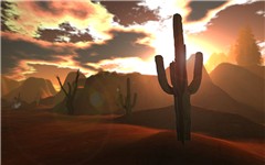 Arizona_015