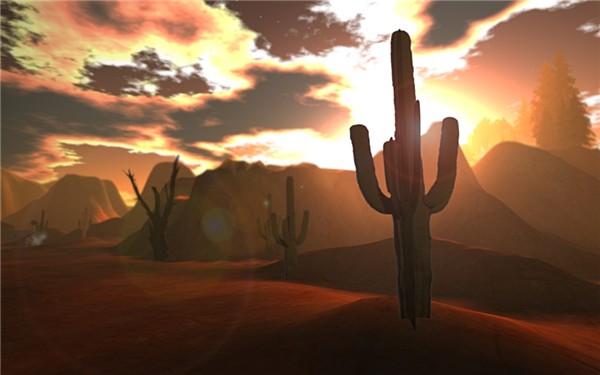 Arizona_015