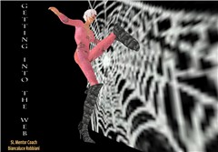 getting into the web